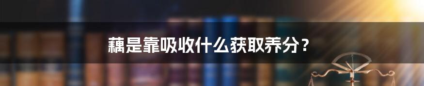 藕是靠吸收什么获取养分？