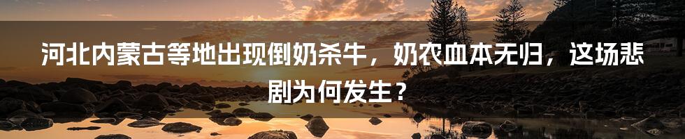 河北内蒙古等地出现倒奶杀牛，奶农血本无归，这场悲剧为何发生？