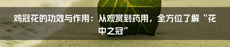 鸡冠花的功效与作用：从观赏到药用，全方位了解“花中之冠”