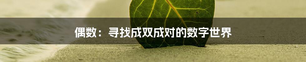 偶数：寻找成双成对的数字世界