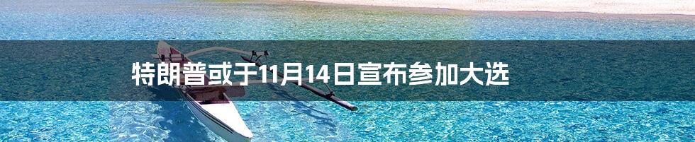 特朗普或于11月14日宣布参加大选