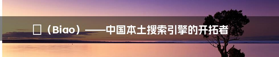 骉（Biao）——中国本土搜索引擎的开拓者