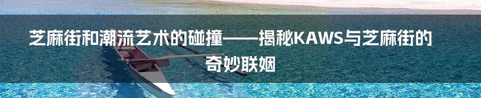 芝麻街和潮流艺术的碰撞——揭秘KAWS与芝麻街的奇妙联姻