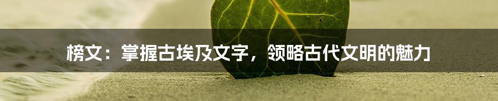 榜文：掌握古埃及文字，领略古代文明的魅力