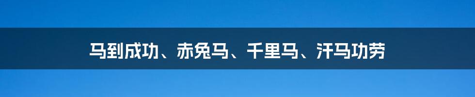 马到成功、赤兔马、千里马、汗马功劳