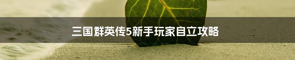 三国群英传5新手玩家自立攻略