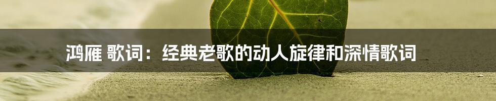 鸿雁 歌词：经典老歌的动人旋律和深情歌词