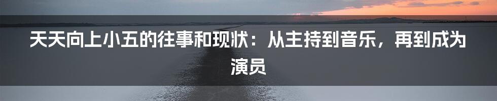 天天向上小五的往事和现状：从主持到音乐，再到成为演员