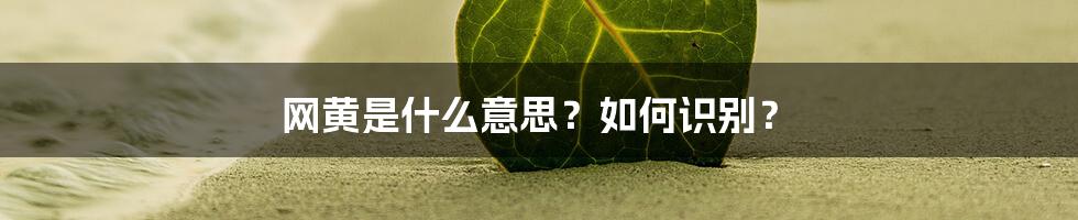 网黄是什么意思？如何识别？