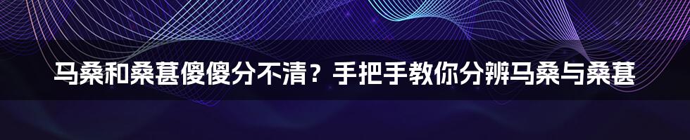 马桑和桑葚傻傻分不清？手把手教你分辨马桑与桑葚