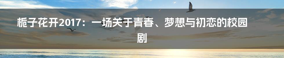 栀子花开2017：一场关于青春、梦想与初恋的校园剧