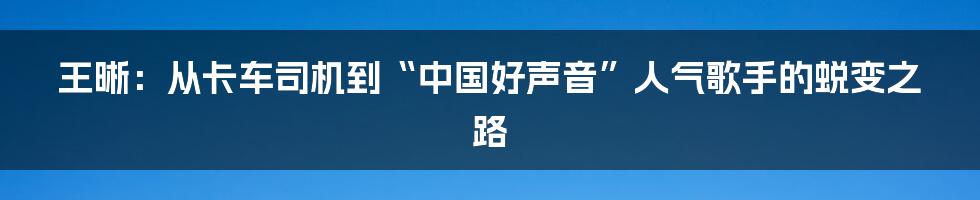 王晰：从卡车司机到“中国好声音”人气歌手的蜕变之路