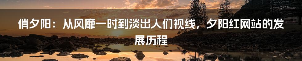 俏夕阳：从风靡一时到淡出人们视线，夕阳红网站的发展历程