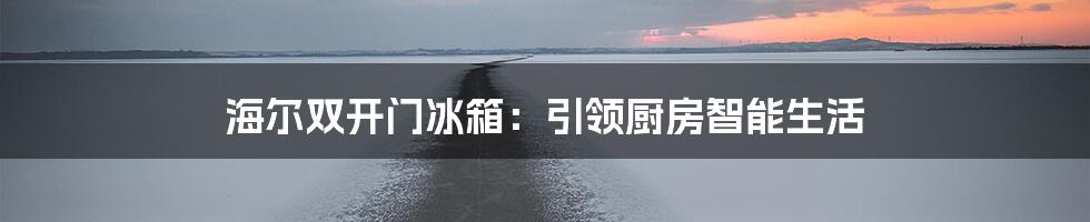 海尔双开门冰箱：引领厨房智能生活