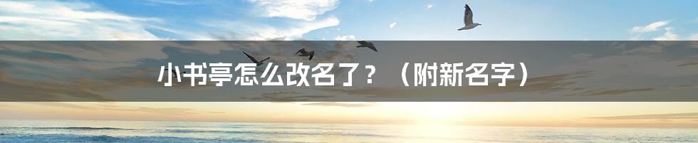 小书亭怎么改名了？（附新名字）