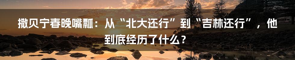 撒贝宁春晚嘴瓢：从“北大还行”到“吉林还行”，他到底经历了什么？