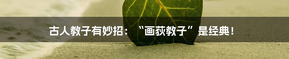 古人教子有妙招：“画荻教子”是经典！