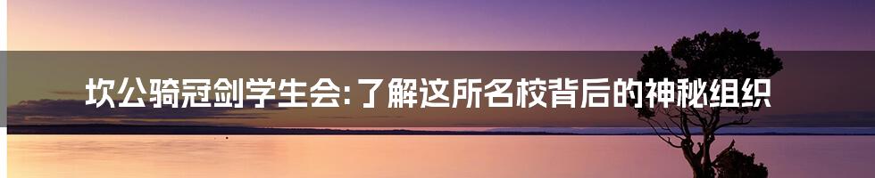 坎公骑冠剑学生会:了解这所名校背后的神秘组织