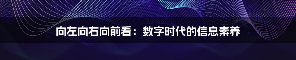 向左向右向前看：数字时代的信息素养