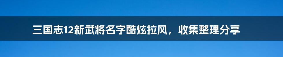 三国志12新武将名字酷炫拉风，收集整理分享