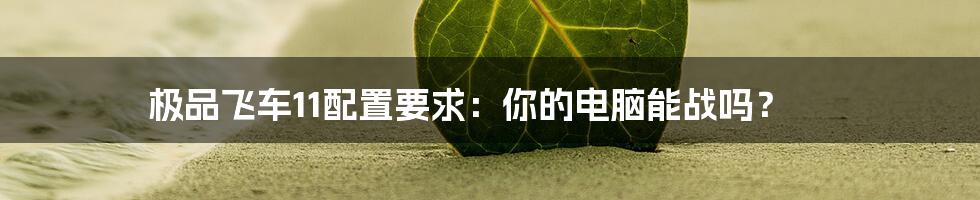 极品飞车11配置要求：你的电脑能战吗？