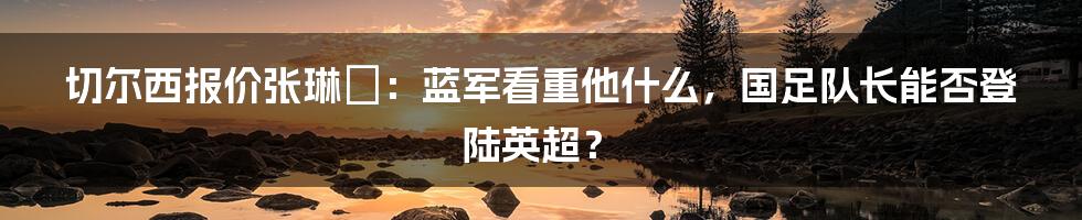 切尔西报价张琳芃：蓝军看重他什么，国足队长能否登陆英超？