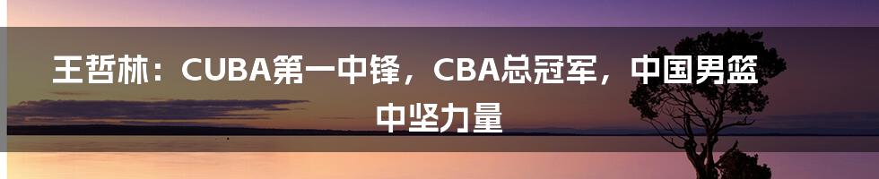 王哲林：CUBA第一中锋，CBA总冠军，中国男篮中坚力量