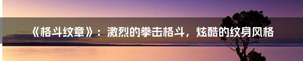 《格斗纹章》：激烈的拳击格斗，炫酷的纹身风格