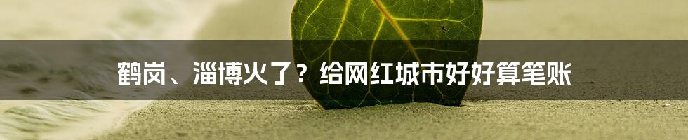 鹤岗、淄博火了？给网红城市好好算笔账