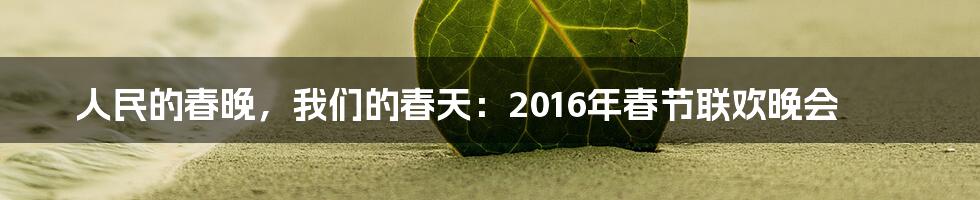 人民的春晚，我们的春天：2016年春节联欢晚会