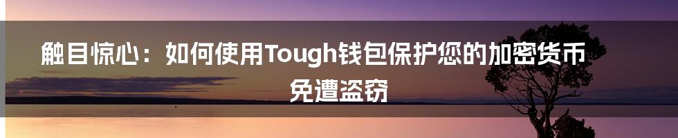 触目惊心：如何使用Tough钱包保护您的加密货币免遭盗窃