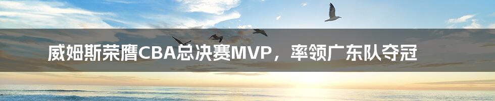 威姆斯荣膺CBA总决赛MVP，率领广东队夺冠