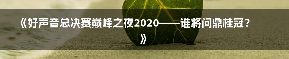 《好声音总决赛巅峰之夜2020——谁将问鼎桂冠？》