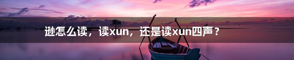 逊怎么读，读xun，还是读xun四声？