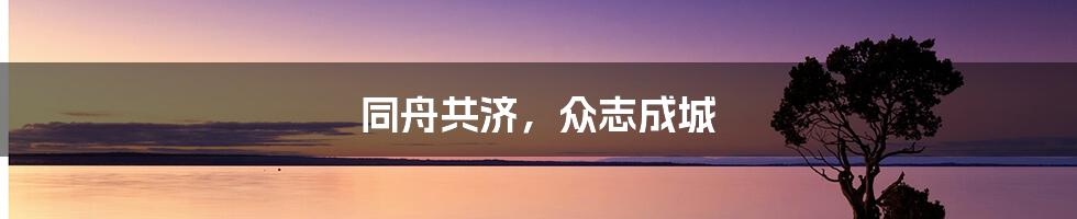 同舟共济，众志成城