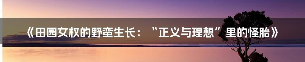 《田园女权的野蛮生长：“正义与理想”里的怪胎》