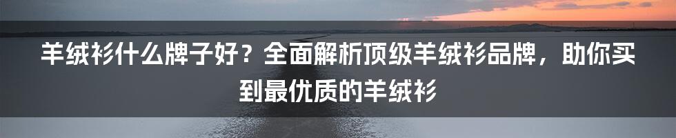 羊绒衫什么牌子好？全面解析顶级羊绒衫品牌，助你买到最优质的羊绒衫