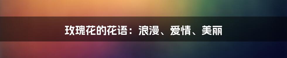 玫瑰花的花语：浪漫、爱情、美丽