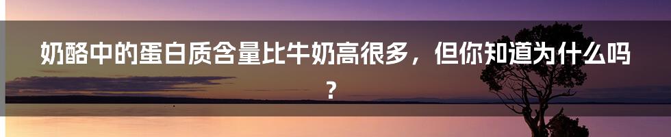 奶酪中的蛋白质含量比牛奶高很多，但你知道为什么吗？