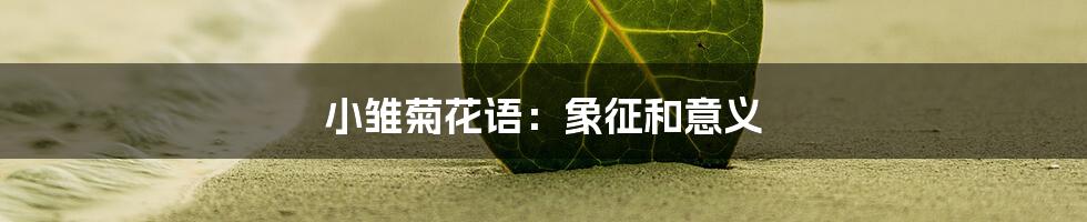 小雏菊花语：象征和意义