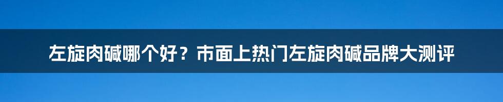 左旋肉碱哪个好？市面上热门左旋肉碱品牌大测评