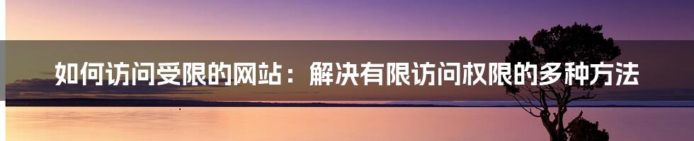 如何访问受限的网站：解决有限访问权限的多种方法