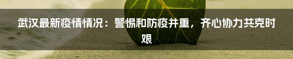 武汉最新疫情情况：警惕和防疫并重，齐心协力共克时艰