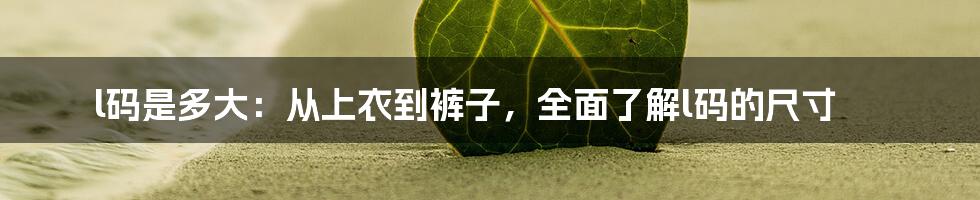 l码是多大：从上衣到裤子，全面了解l码的尺寸