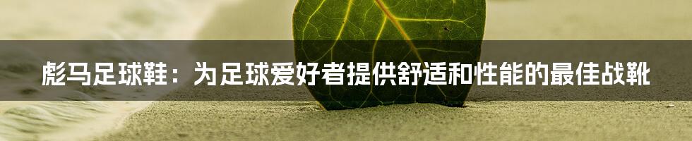 彪马足球鞋：为足球爱好者提供舒适和性能的最佳战靴