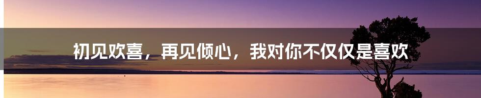 初见欢喜，再见倾心，我对你不仅仅是喜欢