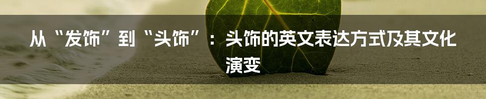 从“发饰”到“头饰”：头饰的英文表达方式及其文化演变