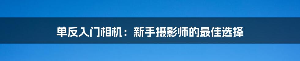 单反入门相机：新手摄影师的最佳选择