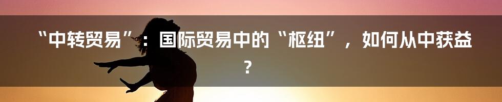 “中转贸易”：国际贸易中的“枢纽”，如何从中获益？