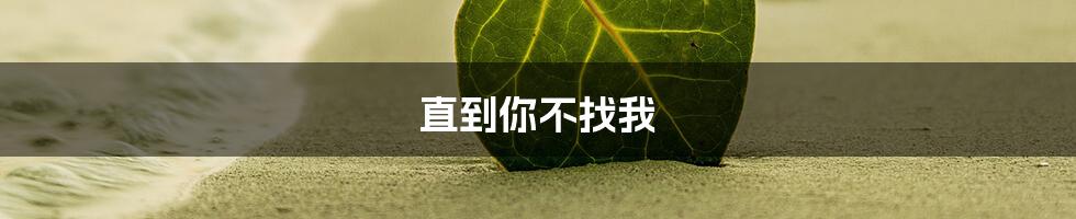 直到你不找我